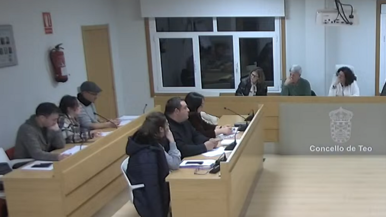 Pleno de Xaneiro de 2025