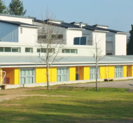 CEIP-Calo