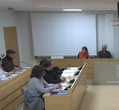 O portavoz do BNG intervindo no Pleno de Novembro